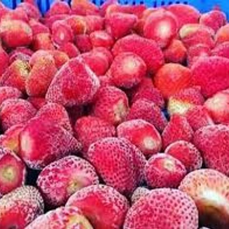 IQF Frozen Kosher Egyptian Strawberry