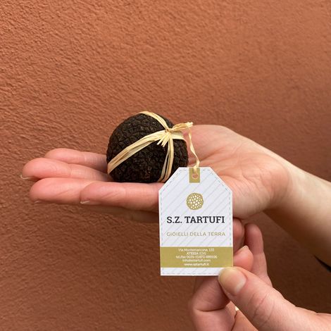 Fresh black truffle