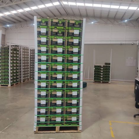PALLET EEUU