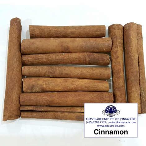 ATL Cinnamon.png