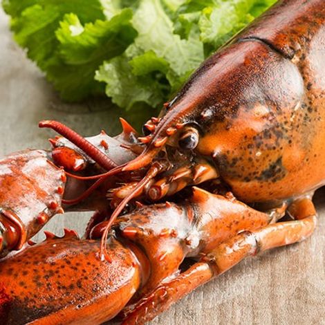 East Coast Seafood
