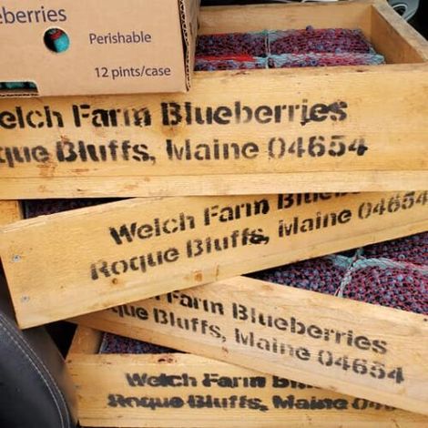 Welch Farms