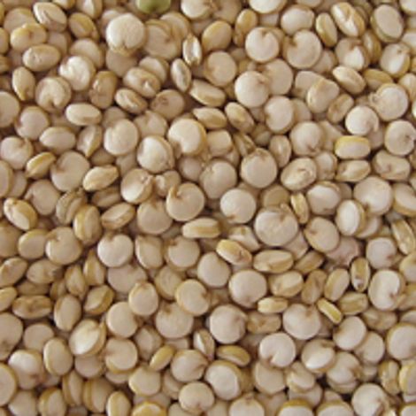 10-quinoa-300-200.jpg