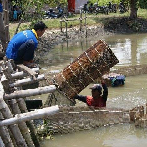 PT. Alter Trade Indonesia - Shrimp Harvest