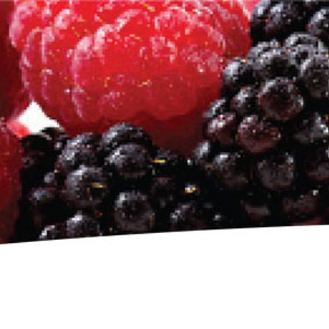 banner6.jpg