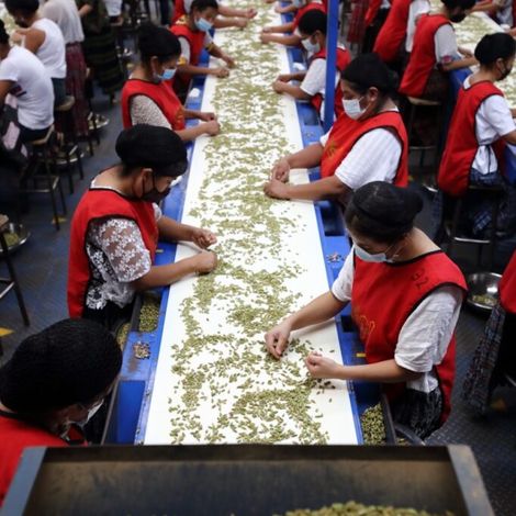 All Spice - Cardomino S.A.