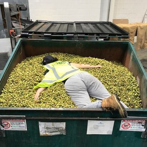 Tuatara Brewing Company Limited