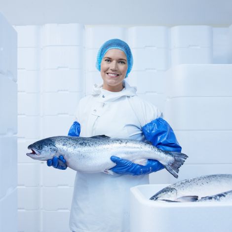 our_salmon_standards.jpg