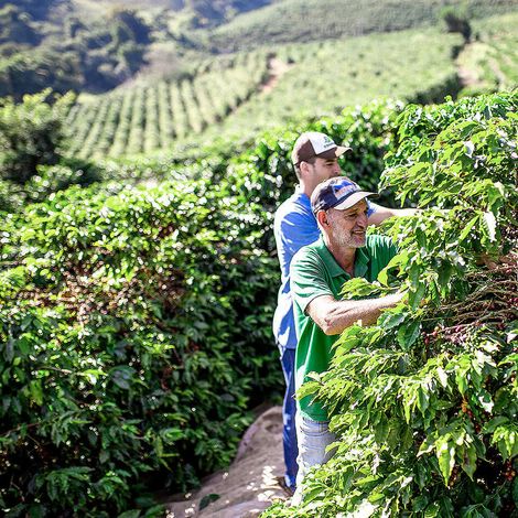 Coopfam - Coffee Bean Growers