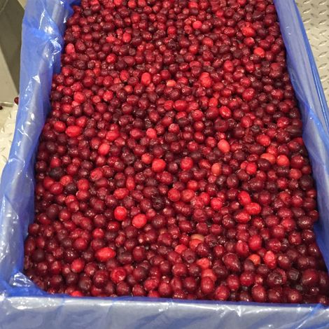 IQF CULTIVATED CRANBERRIES