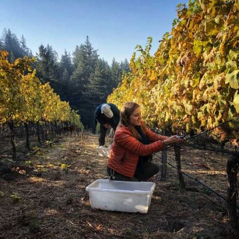 Harvest