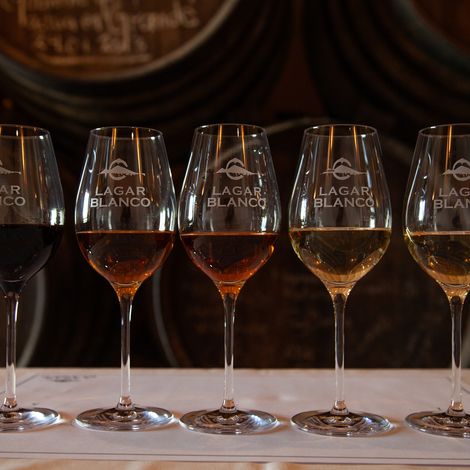 BODEGAS LAGAR BLANCO_Wine_Display