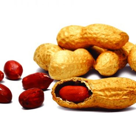 Indo Africa Group - Product