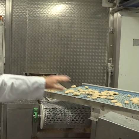 Kilkeel Seafoods Ltd - Processing