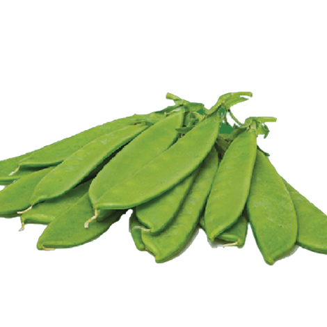 Ngong Veg Kenya Ltd