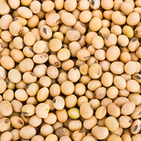 grains.jpg