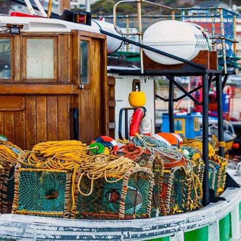 Blue Wave Fish Traders