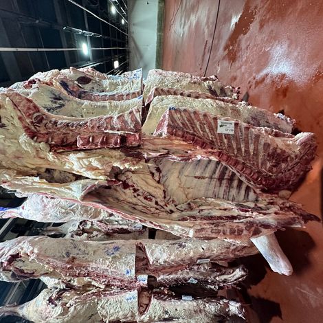 Hanging Beef from one of our Harvest Partners!