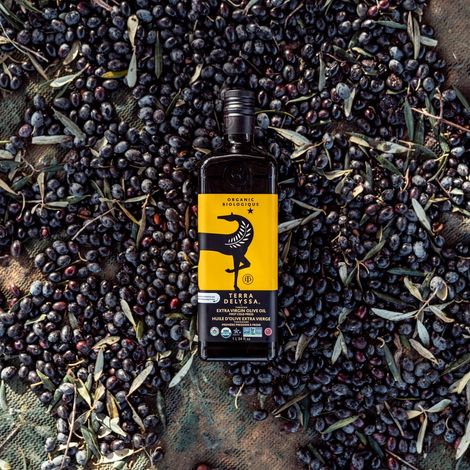 CHO GROUP TUNISIA - Olive Oil