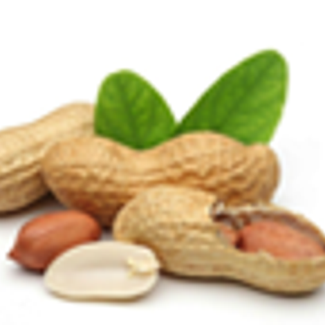 box_nuts.png
