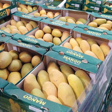 Mangoes