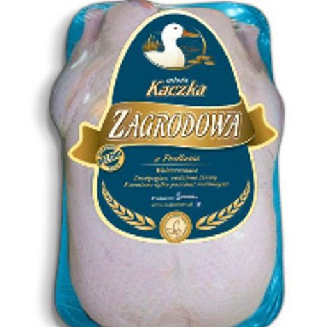 Kaczka_Zagrodowa_new-2.jpg