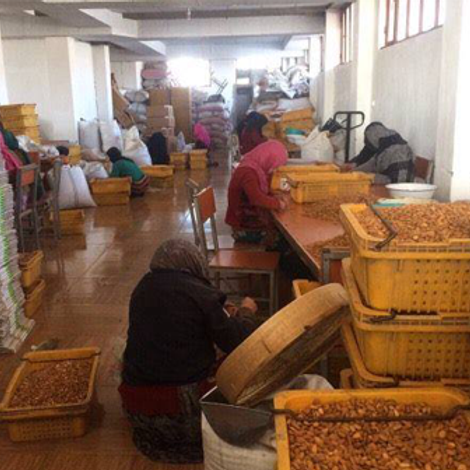 Amin Farshid Ltd. - Facility
