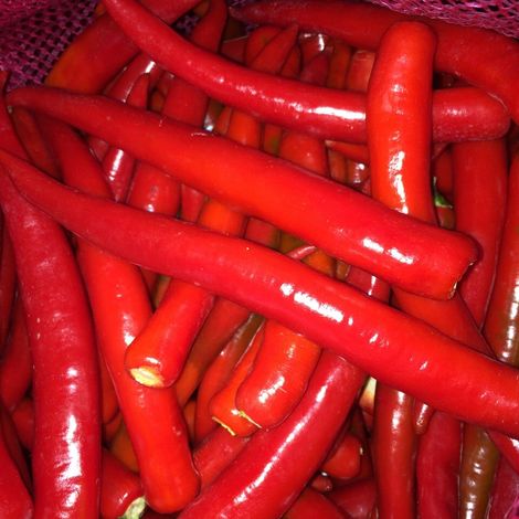 Thai Chilli Farm - Product
