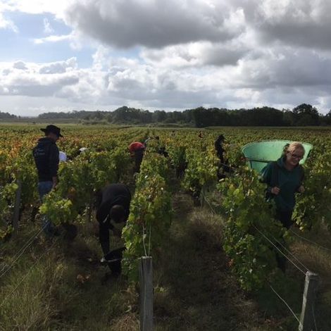 Château Cap Léon Veyrin