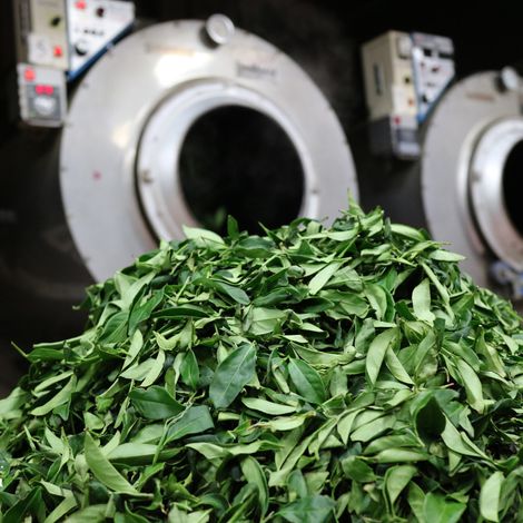 Huagang Tea Co., Ltd.