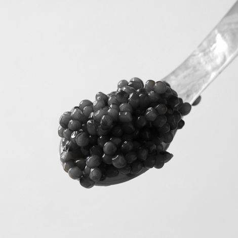 Gourmet House Caviar