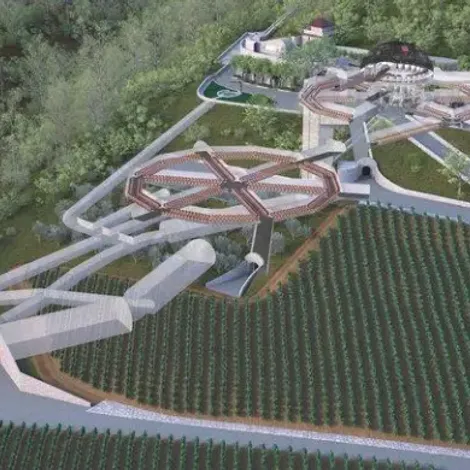 Palmaz vineyard 2.webp