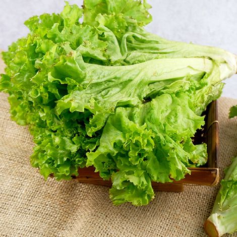 Fresh Vegetable