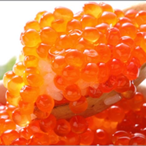 salmon_roe.jpg