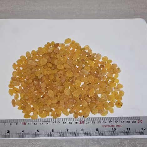 Golden Raisins