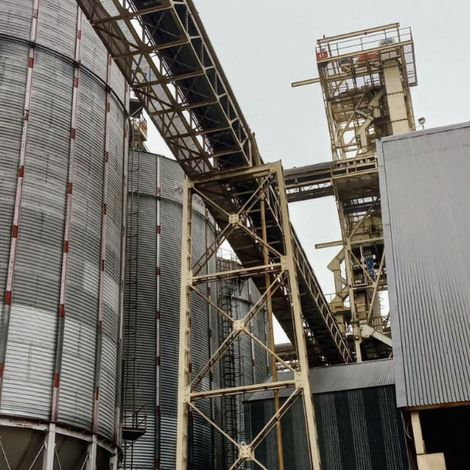 Establecimiento San Patricio S.A. - Plant