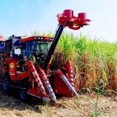 Nakornphet Sugar Limited - Plantation