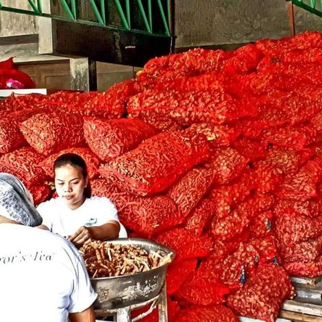 Silang Farm Harvest - Facility
