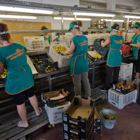 MILINIS, B. & D., EO SAN FRUITS - Facility