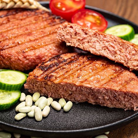 PLANT-BASED-MEAT-APPLICATION-Image-1.jpg