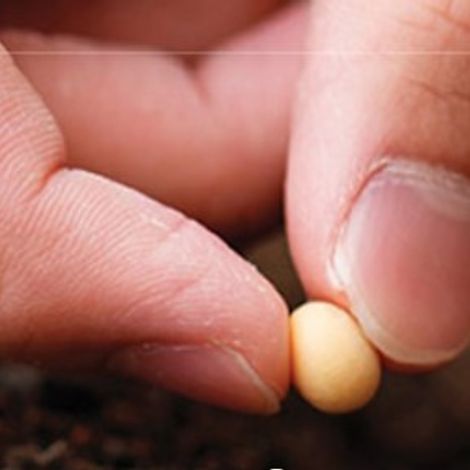 Screenshot 2023-04-13 084007.jpg