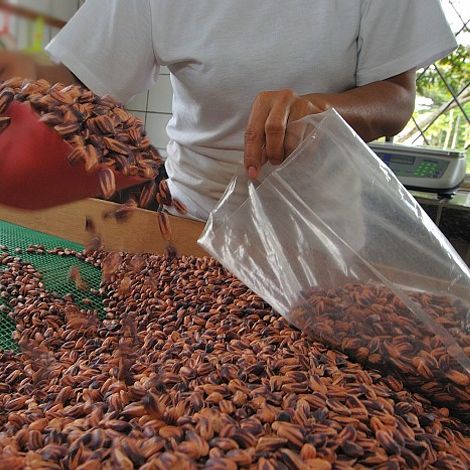 Raw material packaging