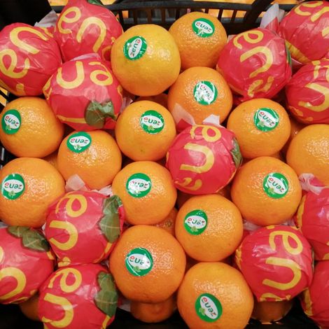 Tangerine
