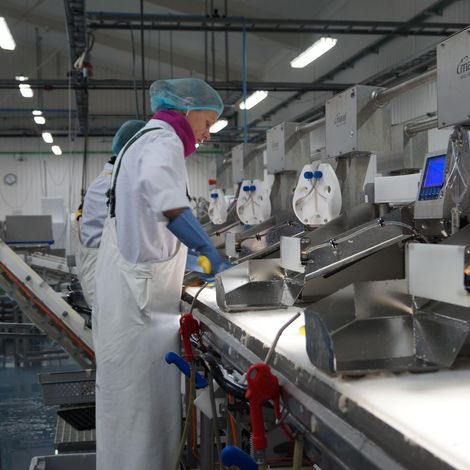 Production