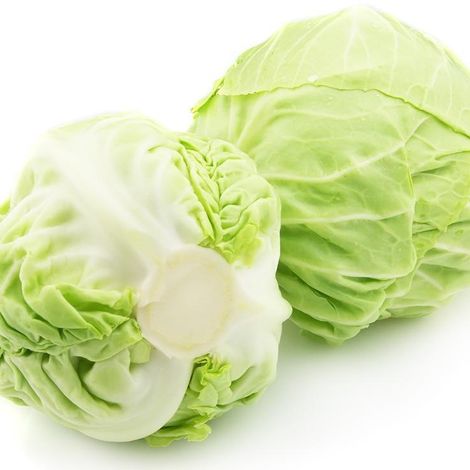 FRESH CABBAGES