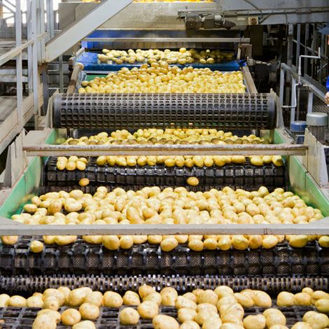 Production