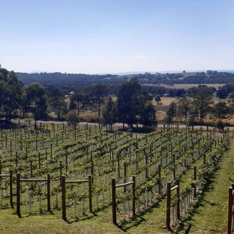 Northern Hope Winery