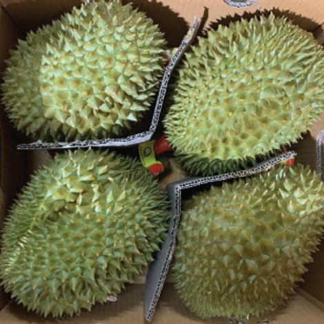THAI CHI EXPORT CO., LTD.