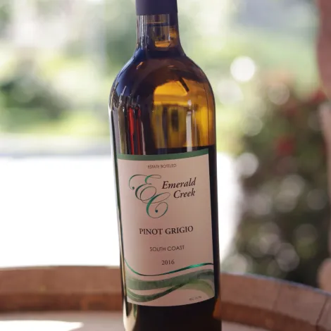 pinot-grigio-2016_1024x1024@2x.webp