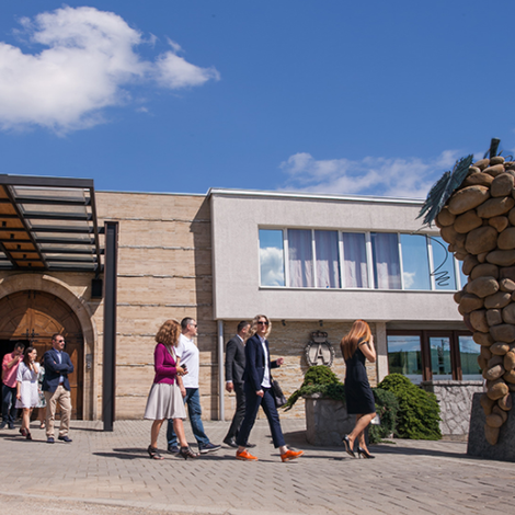 Winery Aleksandrovic